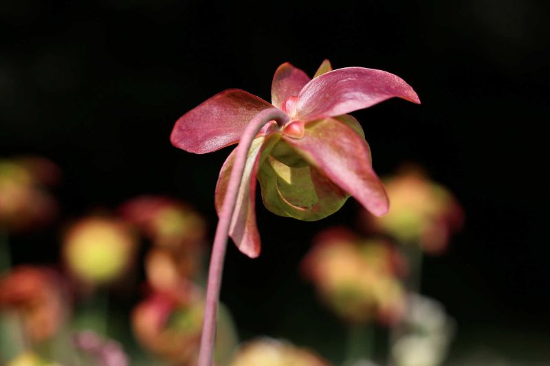 13 Rang 101 Luechinger Antoinettte